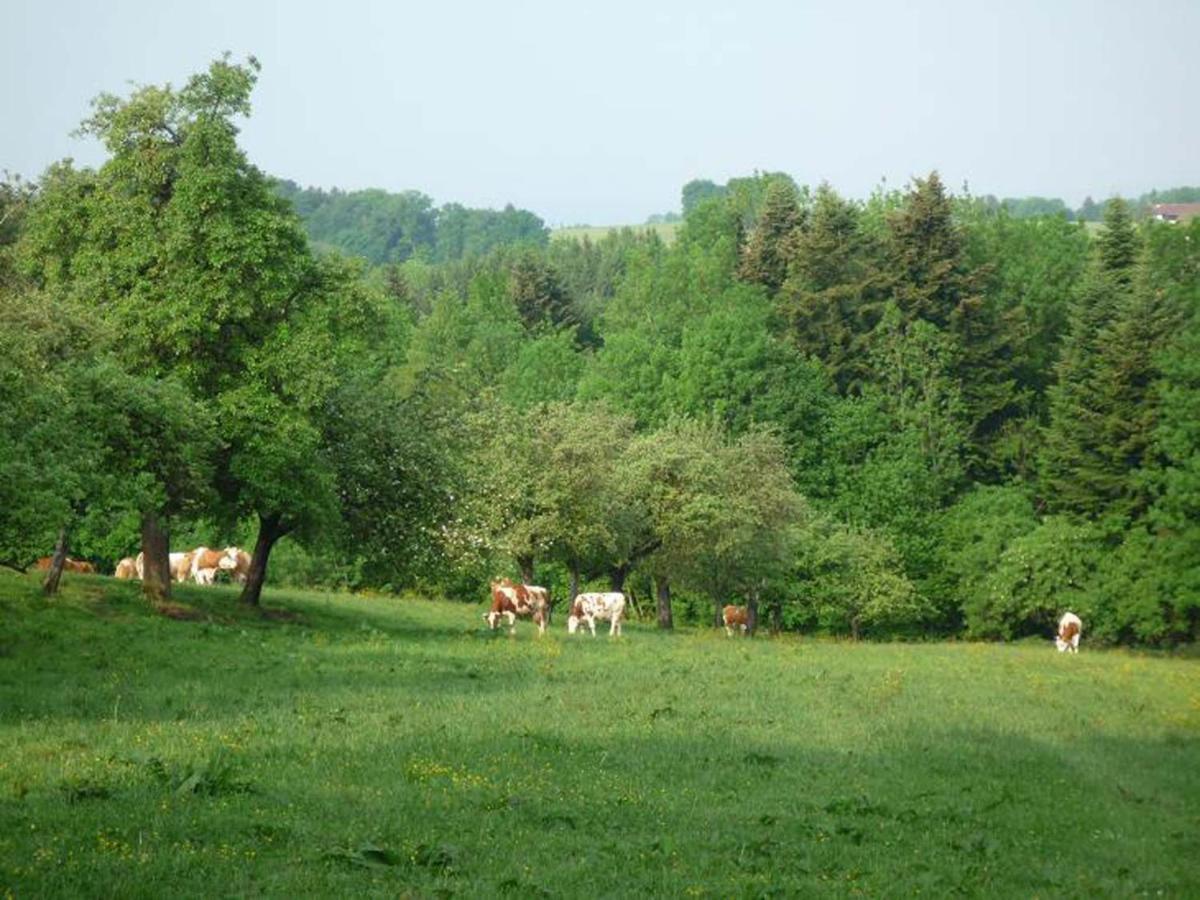 Ringerhof Lägenhet Bad Endorf Exteriör bild